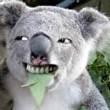 5653